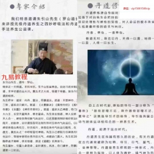 朱引山～道家无极养生课程无极丹道全 视频46集 百度云下载！