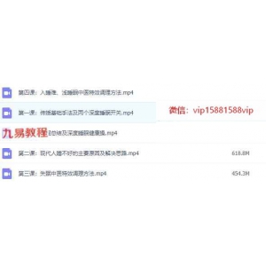 黎汉：深度睡眠中医特效调理术手法视频课5集 百度云下载！