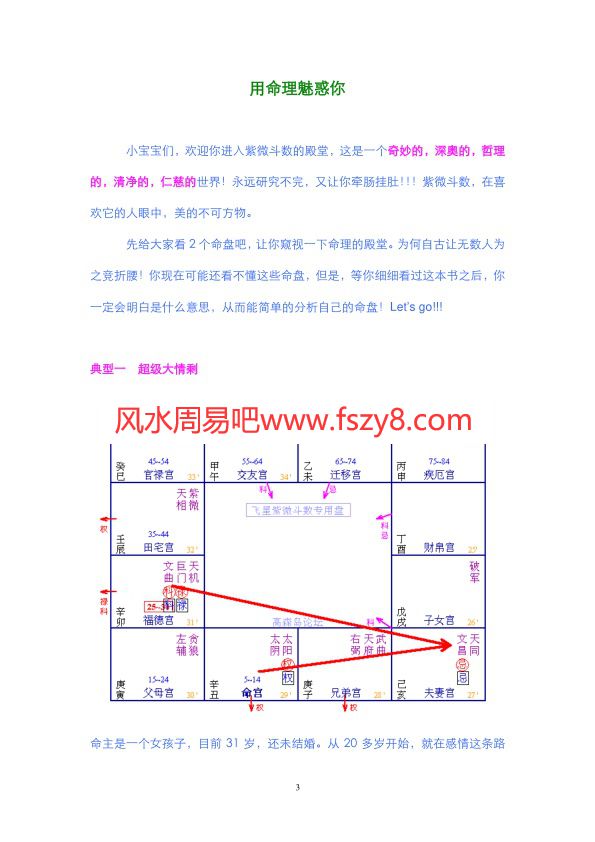 紫微白娘子-紫微斗数入门基础全集文档-紫微白娘子本紫微斗数书合集 我的第一本紫微斗数书-斗数入门(图3)