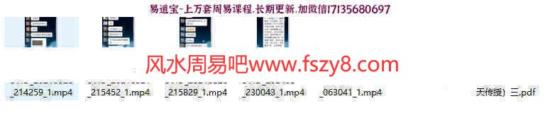 罗天传授神霄法术第三期录像5集+2个讲义pdf-罗天神霄法术神霄派法术课程(图5)