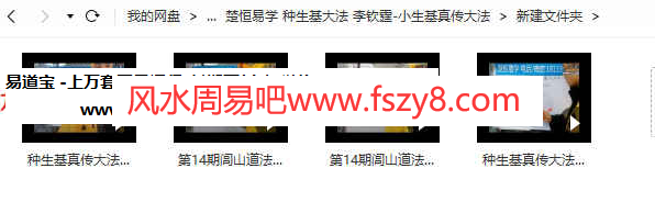 李钦霆小生基大法视频+文档 种生基大法李钦霆小生基真传大法视频百度网盘下载(图2)