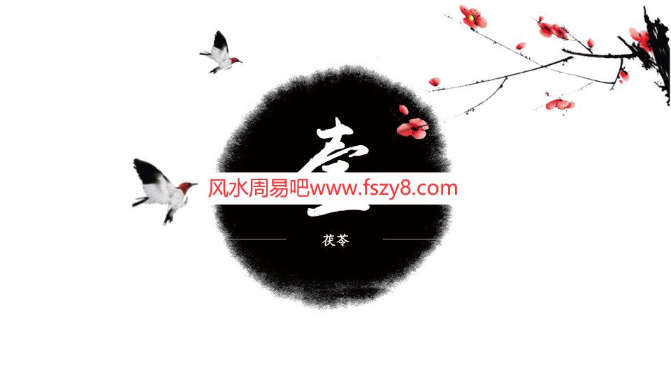 中医中医临证经验与方法pdf