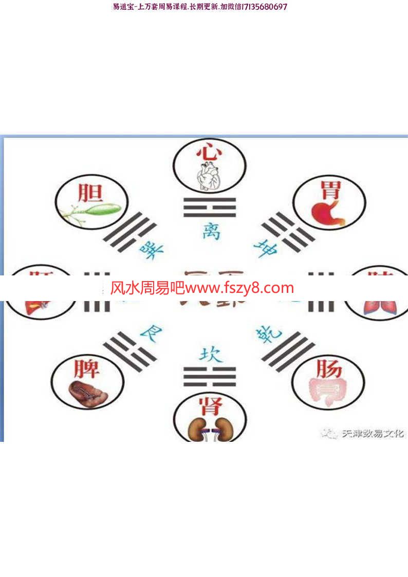 张洪瑞蒙医课程下载 张洪瑞蒙医十二绝技7集录像+讲义(图4)