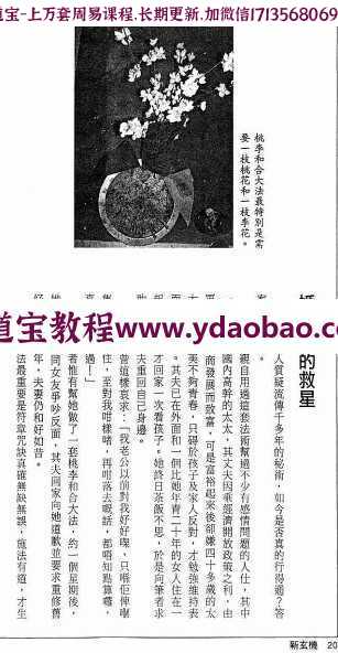 方海阅道教秘术电子书pdf108页 方海阅道教秘术(30种法术的应用)电子版百度网盘下载(图3)