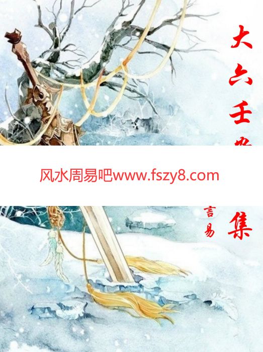 神言易大六壬应用-大六壬案例