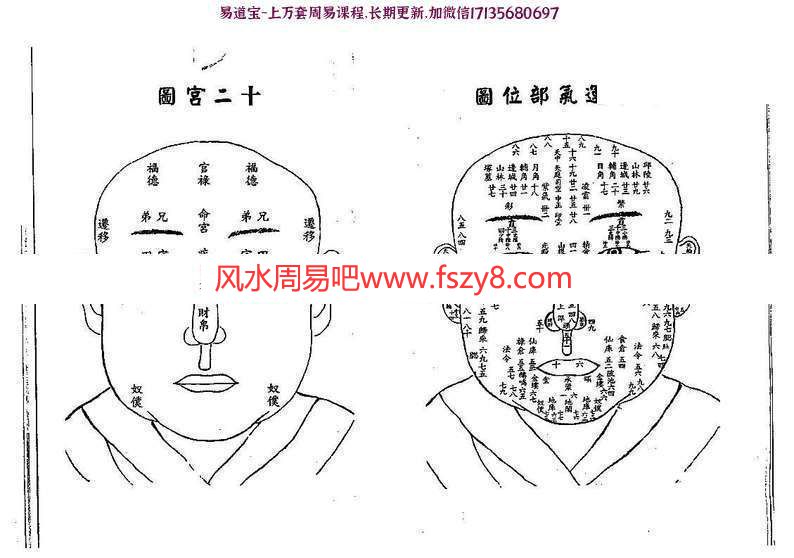 汉管辂管辂神相密传电子书pdf79页讲解眼耳鼻舌相法 汉管辂面相资料百度网盘下载(图4)