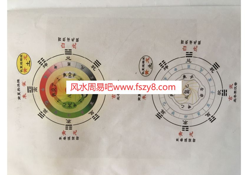 道医养生知易子