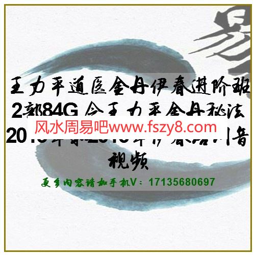 王力平道医金丹伊春进阶班2部84G 含王力平金丹秘法2013年和2016年伊春培训音视频