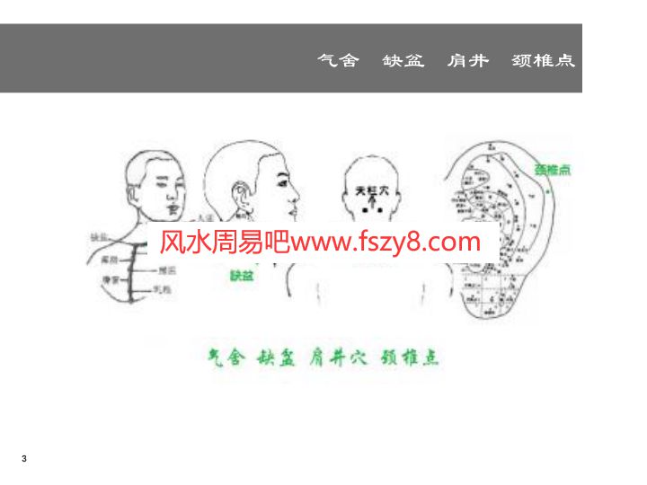 付振峰付振峰中国道医2016课程讲义资料-付振峰道医学习资料