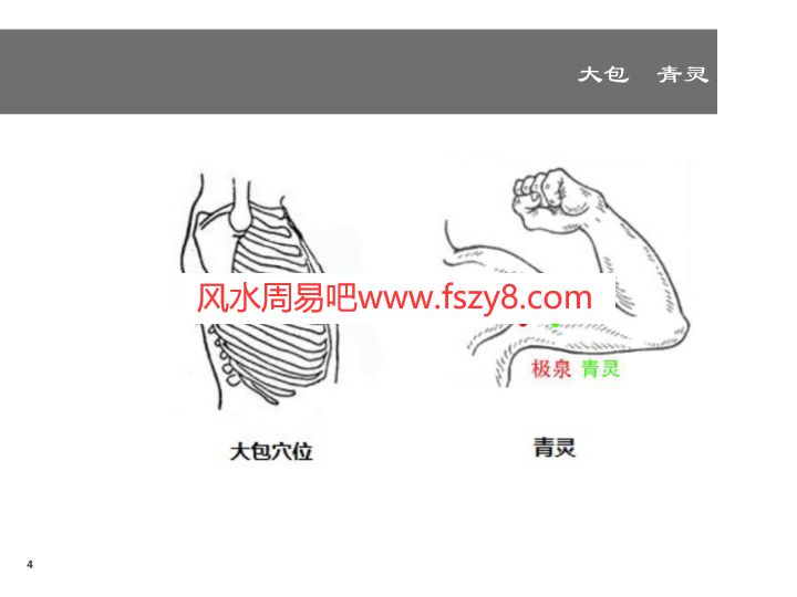 道医学流派资料下载