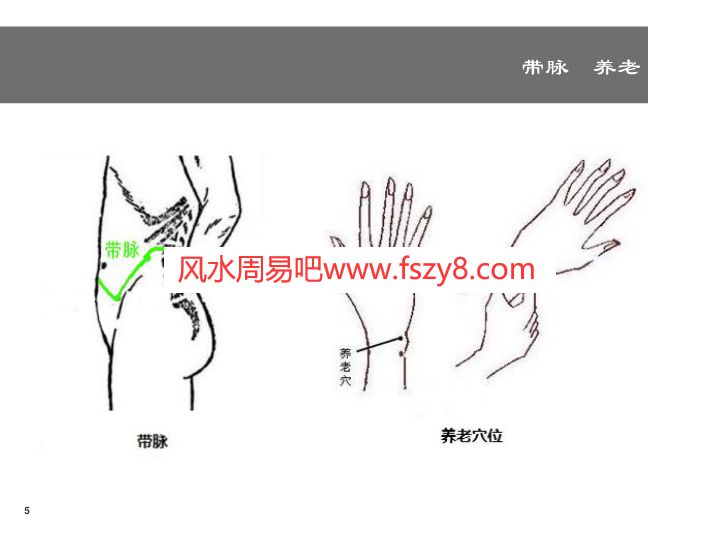 付振峰中医四大流派