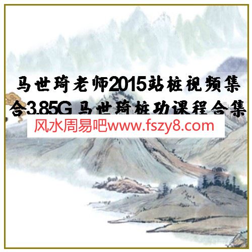 马世琦老师2015站桩视频集合3.85G 马世琦桩功课程合集