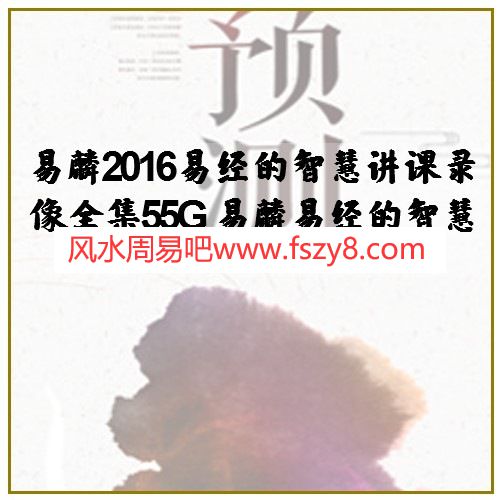 易麟2016易经的智慧讲课录像全集55G 易麟易经的智慧