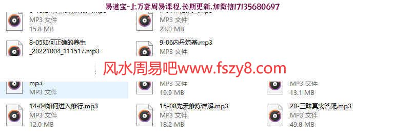 道家养生三昧真火道教真火 道教秘传三昧真火视频课程+音频百度网盘下载(图6)