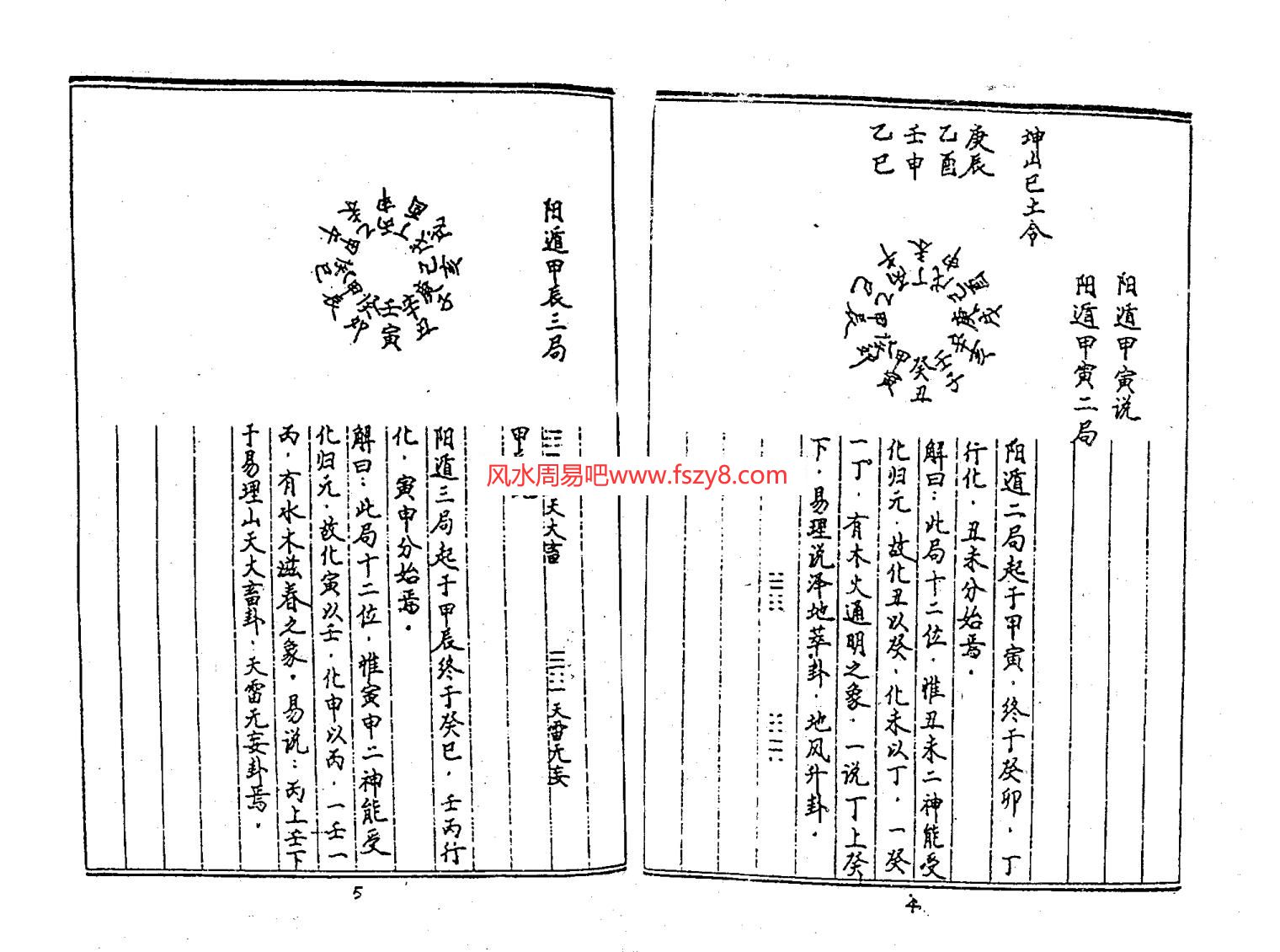 戴锡伦十二地支属性