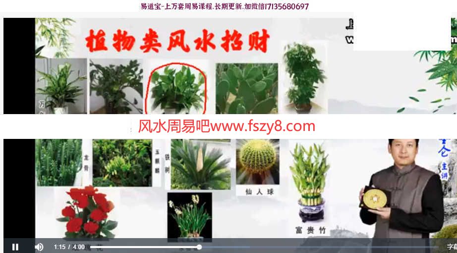 马昆仑八宅风水录像课程21集-马昆仑八宅风水理气风水课程(图6)