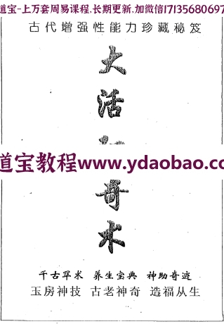 大活阳奇术pdf(图1)