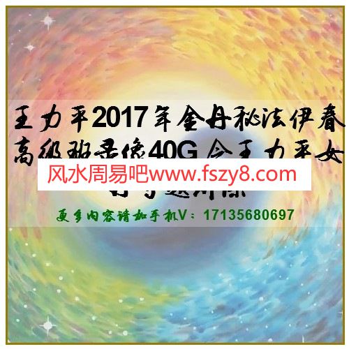 王力平2017年金丹秘法伊春高级班录像40G 含王力平女丹专题讲课