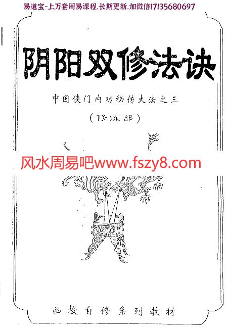 [阴阳双修法诀(修炼部)]李国兴手抄版pdf(图1)