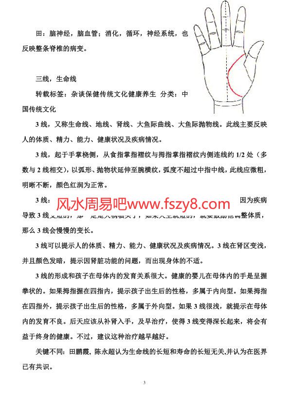 医学掌纹诊病密码PDF电子书21页 医学掌纹诊病密码书(图3)