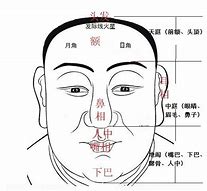 李己庚面相口诀-相法教学课程