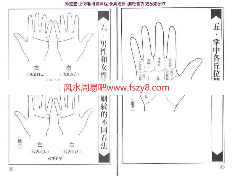 林国雄-婚姻纹的奥秘图解pdf电子版百度网盘资源免费下载(图6)