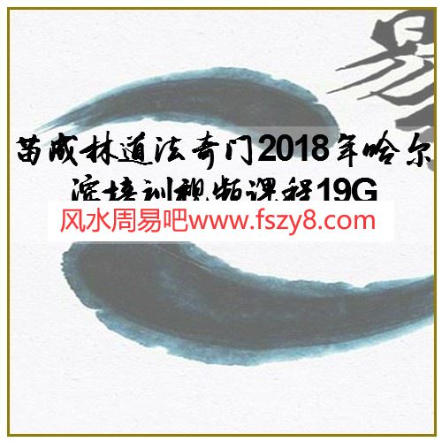 苗成林道法奇门2018年哈尔滨培训视频课程19G