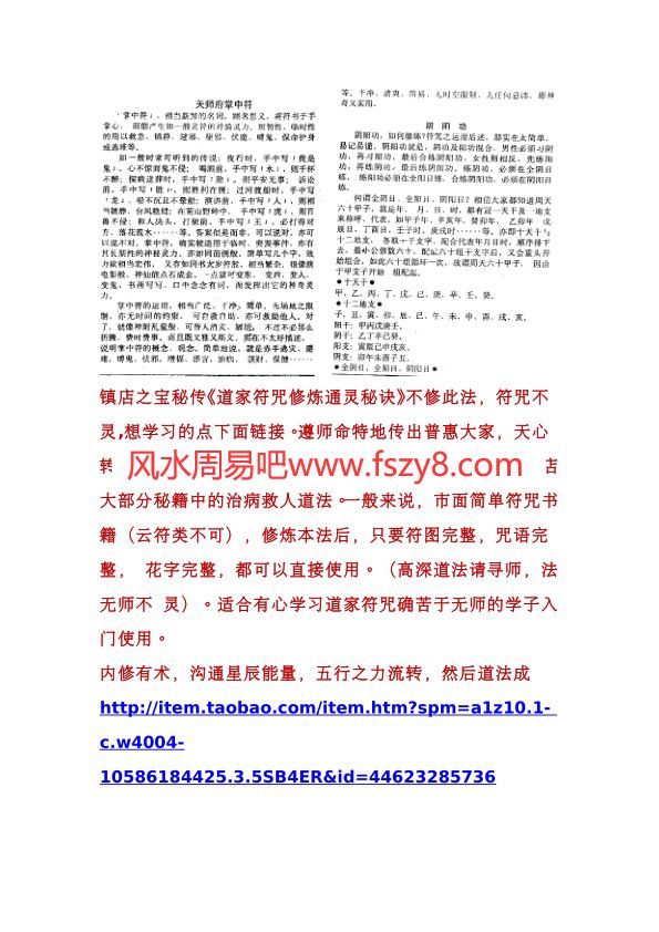 天师府掌中符秘传带符图全本PDF电子书11页 天师府掌中符秘传带符图全本书籍扫描电子书(图1)