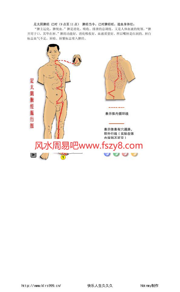 人体经络与十二时辰养生附图PDF电子书12页 人体经络与十二时辰养生附图书(图4)