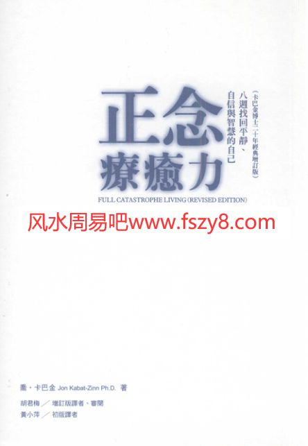 卡巴金正念疗愈力 pdf