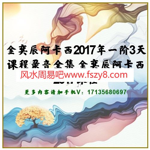 金奕辰阿卡西2017年一阶3天课程录音全集 金奕辰阿卡西2017课程