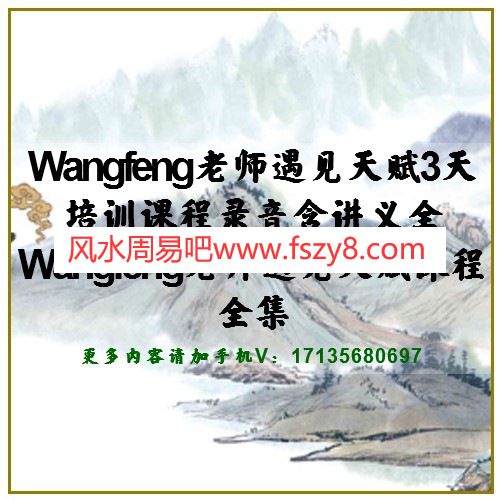 Wangfeng老师遇见天赋3天培训课程录音含讲义全 Wangfeng老师遇见天赋课程全集