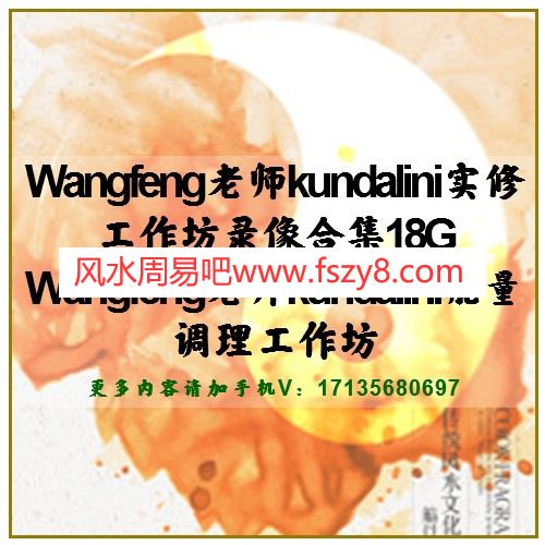 Wangfeng老师kundalini实修工作坊录像合集18G Wangfeng老师kundalini能量调理工作坊