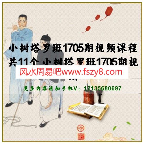 小树塔罗班1705期视频课程共11个 小树塔罗班1705期视频