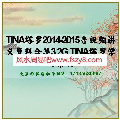 TINA塔罗2014-2015音视频讲义资料合集3.2G TINA塔罗学习素材