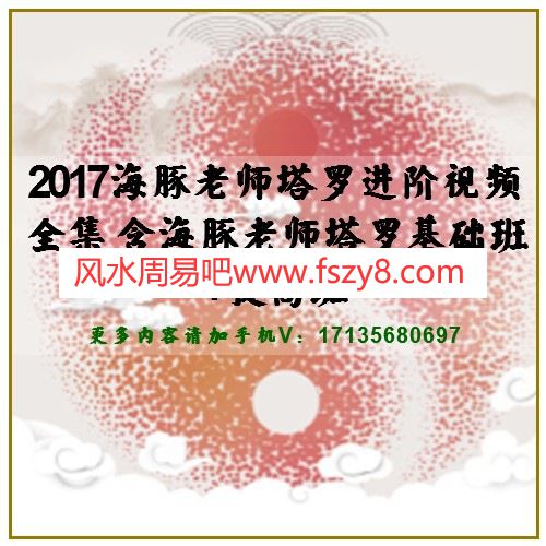 2017海豚老师塔罗进阶视频全集 含海豚老师塔罗基础班+提高班