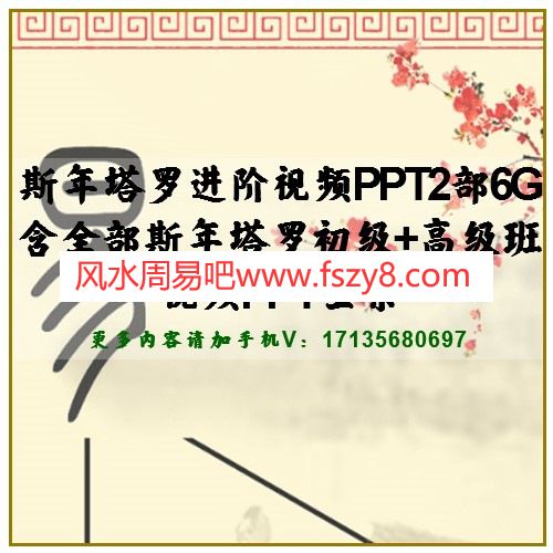 斯年塔罗进阶视频PPT2部6G 含全部斯年塔罗初级+高级班视频PPT全集