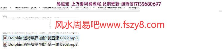 2021海豚透特课程音频百度云下载 海豚透特塔罗塔罗牌(图1)