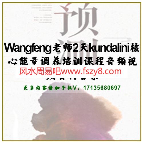 Wangfeng老师2天kundalini核心能量调养培训课程音频视频资料合集