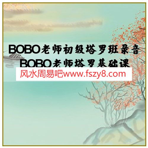 BOBO老师初级塔罗班录音 BOBO老师塔罗基础课