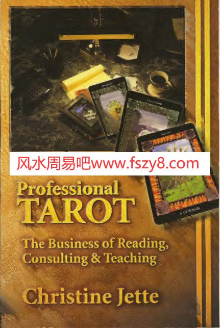 ProfessionalTarotPDF电子书籍220页 ProfessionalTarot书籍扫描(图1)