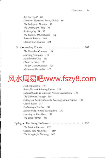 ProfessionalTarotPDF电子书籍220页 ProfessionalTarot书籍扫描(图4)