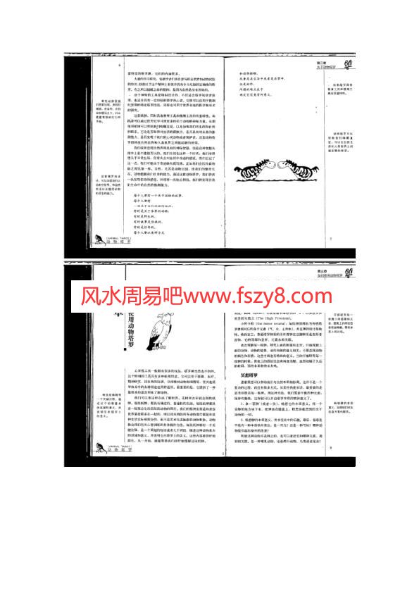 动物塔罗PDF电子书籍55页 动物塔罗书籍扫描(图3)