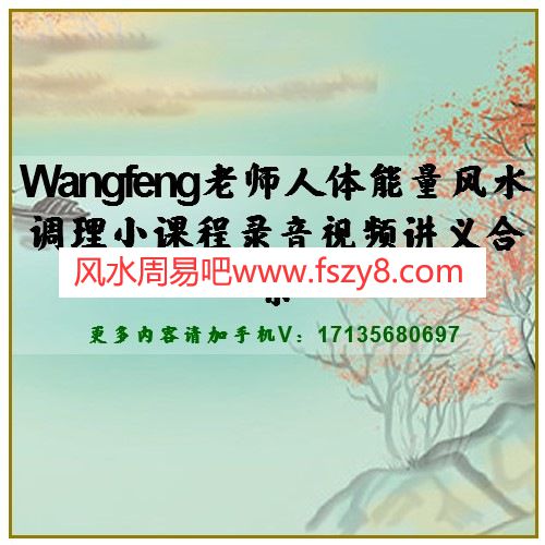 Wangfeng老师人体能量风水调理小课程录音视频讲义合集