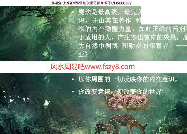 弥雅西方魔法教学课程下载 弥雅魔法课7课9集录像+讲义pdf(图8)