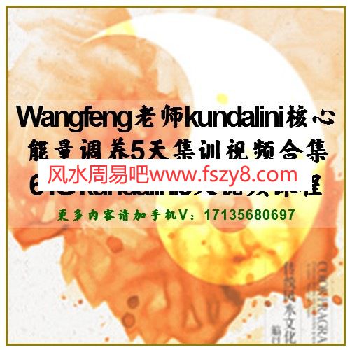 Wangfeng老师kundalini核心能量调养5天集训视频合集64G kundalini5天视频课程