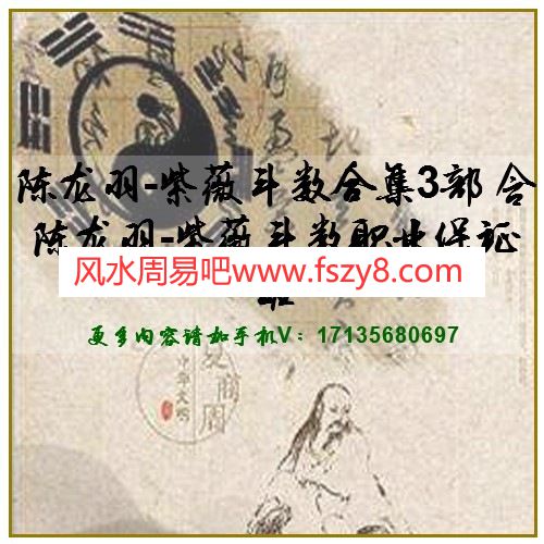 陈龙羽-紫薇斗数合集3部 含陈龙羽-紫薇斗数职业保证班