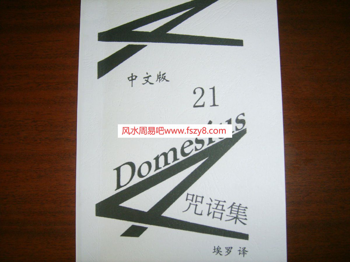 Domesius21条咒语中文版PDF电子书籍46页 Domesius21条咒语中文版书籍扫描(图1)