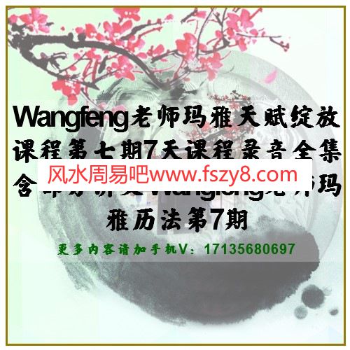 Wangfeng老师玛雅天赋绽放课程第七期7天课程录音全集含部分讲义 Wangfeng老师玛雅历法第7期