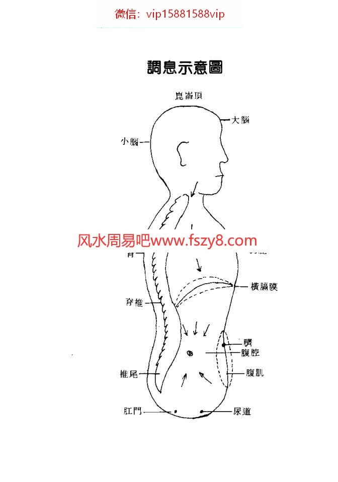 道玄子道家养气